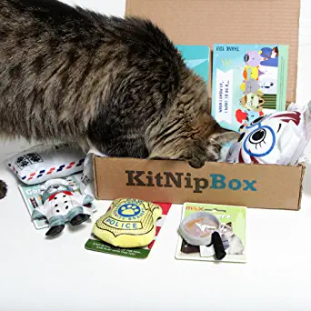 KitNipBox - Monthly Cat Subscription Box of Cat Toys, Treats and Goodies: Multi-Cat