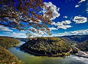Home Comforts Fall New River River West Virginia Horseshoe Bend Vivid Imagery Laminated Poster Print 24 x 36