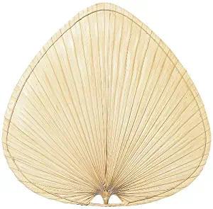 Fanimation ISP1 22-Inch Wide Oval Natural Palm Leaf Ceiling Fan Blade, Set of 5