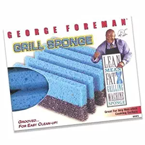 Grill Cleaning Sponges [Set of 2]