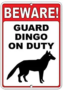 YIGIBIGU Safety Warning Metal Mark - Beware! Guard Dingo On Duty Funny Quote Aluminum Metal Sign Tin Sign. 12 x 8 inch tin Sign