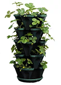 Mr. Stacky 1305-HG 5-Tier Stackable Strawberry, Herb, Flower, & Vegetable Planter - Vertical Gardening Indoor / Outdoor Stacking Garden Pots