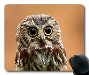 Comfortable Mouse Pad,owl Dash cam owl Bird,Mouse Pad with Stitched Edges