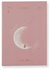 Dash & Dot 2020 Millennium Door Diary Special # Pink New Moon