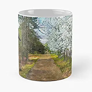 A Spring Walk Classic Mug - Funny Gift From Wife Husband For Birthday, Holiday 11oz Ceramic Cups. Dplhangozz