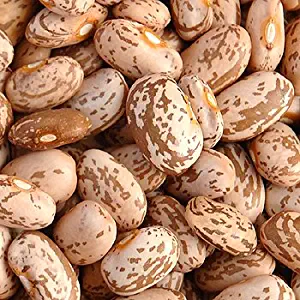 Pinto Beans Organic - dried