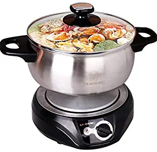 2.5L Liven Hot Pot Electric with Separated 304 Stainless Steel Pot Body and Adjustable Power for Shabu Shabu, Cooking Noodles, Boiling Water Small Electric Cooker 1000W 120V DHG-180F DHG-200F