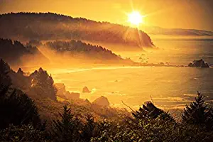 Golden California Coastal Sunset with Misty Fog 9016032 (36x54 Giclee Gallery Print, Wall Decor Travel Poster)