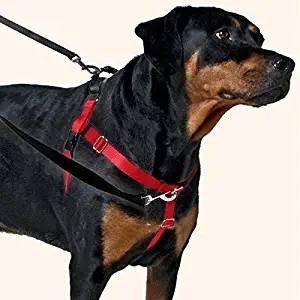 2 Hounds Design Freedom No-Pull Dog Harness Training Package with Leash, Medium (1" Wide), Black