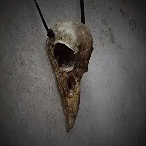 Bird Skull Necklace Raven Skull Pendant - Magpie Crow Bird Skull Jewelry