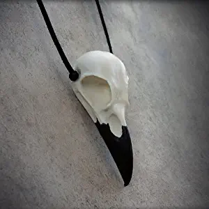 Raven Bird Skull Necklace Cast Resin - Bird Skull Crow Gothic Taxidermy Corvid Gothic Fashion Jewelry