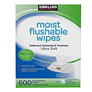 Kirkland Signature Moist Flushable Wipes, 600 Wipes - Best Price