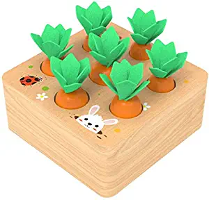 Ancaixin Wooden Toys for 1 Year Old Boys and Girls Montessori Shape Size Sorting Puzzle Carrots Harvest Developmental Gifts for Fine Motor Skill (Carrots Harvest)
