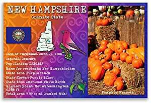 NEW HAMPSHIRE STATE FACTS postcard set of 20 identical postcards. Post cards with NH facts and state symbols. Made in USA.