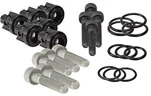 Briggs & Stratton 193806GS Pressure Washer Pump Valve Check Kit