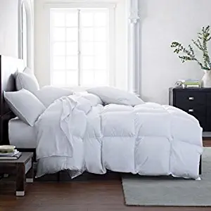 Lavish Comforts The Ultimate Winter Comforter Hotel Luxury Down Alternative Comforter Duvet Insert with Tabs Washable and Hypoallergenic (King)